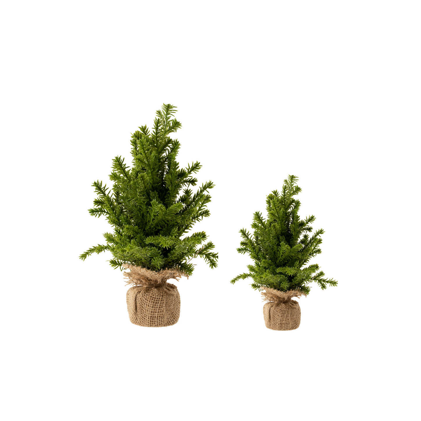 CEDAR TABLETOP TREES