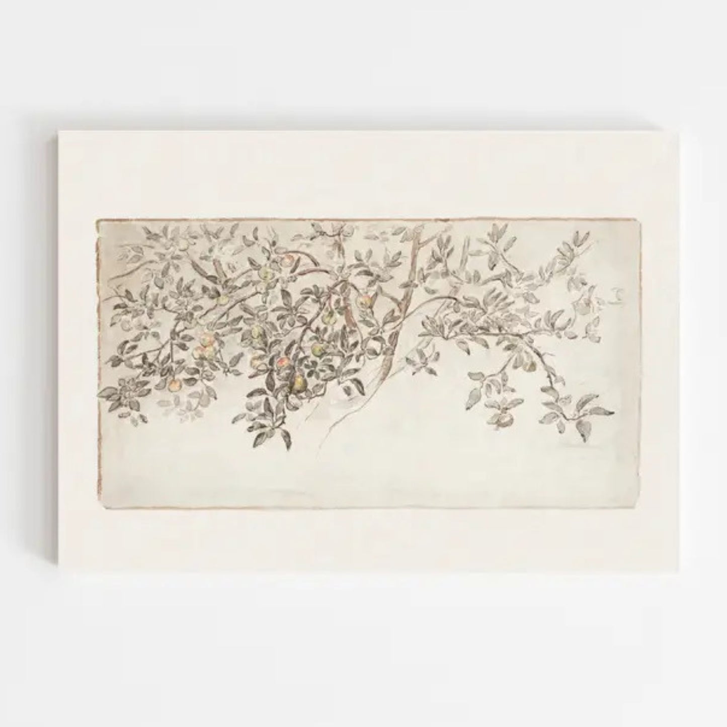 VINTAGE APPLE TREE ART PRINT