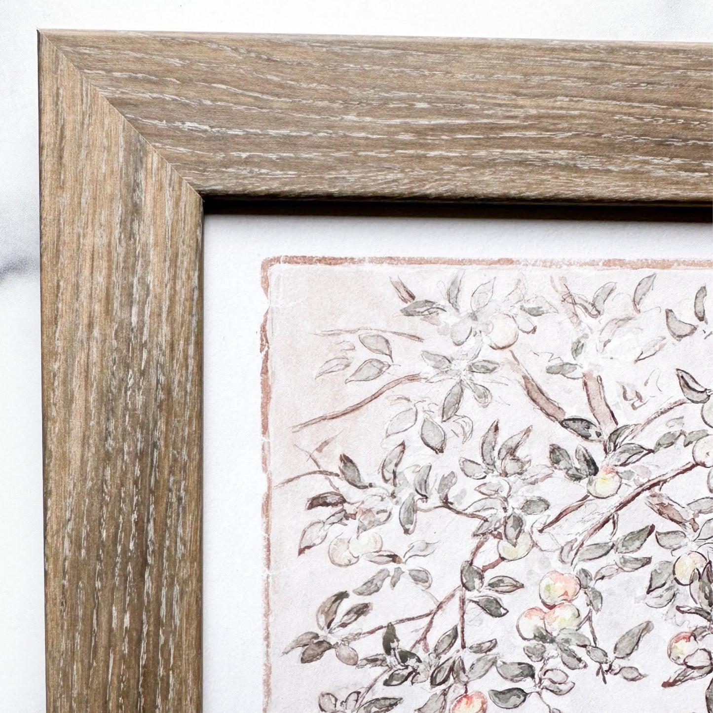 FRAMED VINTAGE APPLE TREE ART PRINT