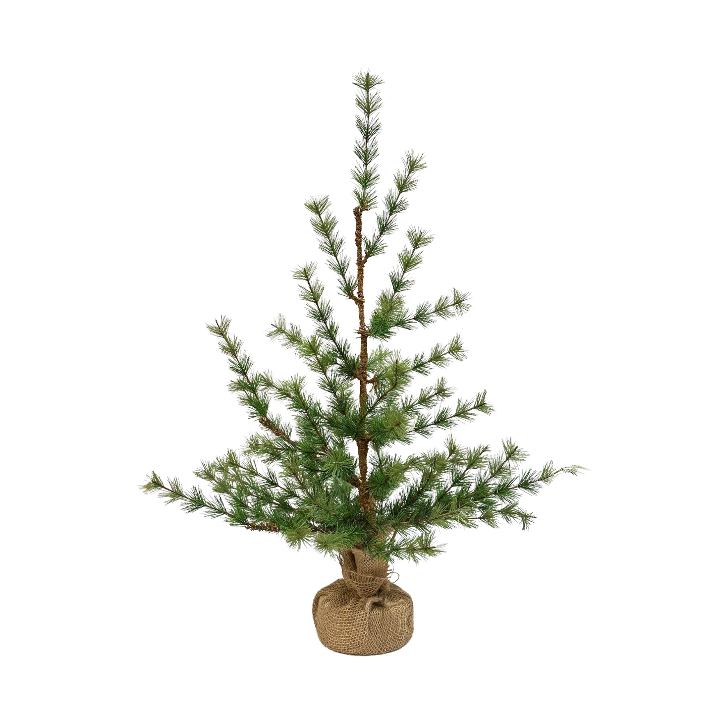 PINE TREE WITH BURLAP BASE